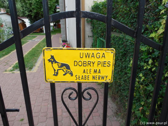 Uwaga! Dobry pies, ale ma słabe nerwy