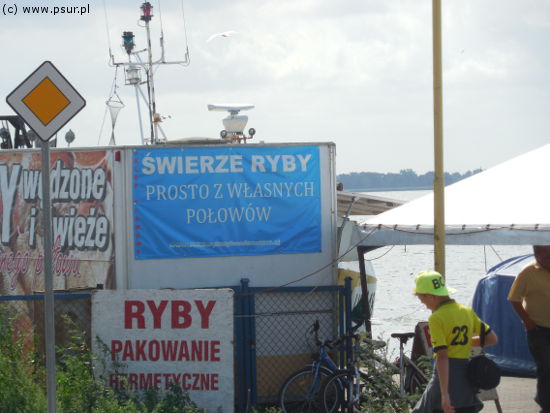 Ogłoszenie: Świerze ryby