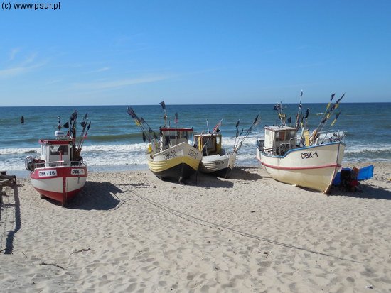 Kutry na plaży