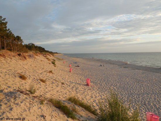 Plaża w Dąbkach