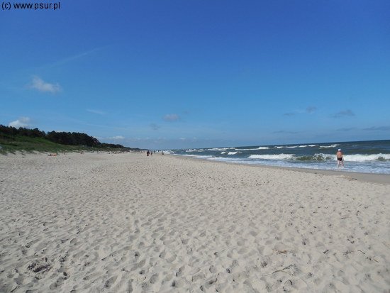 Plaża w Dąbkach