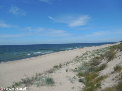 Widok na plażę