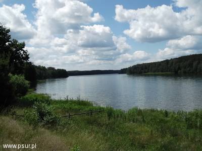 Widok na Jezioro Dąbrowskie