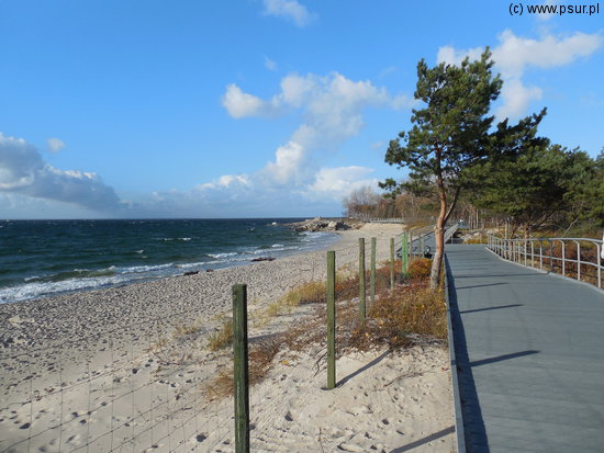 Plaża i wydmy nad morzem