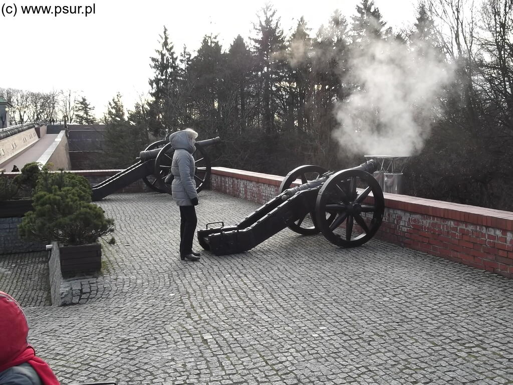 Repliki armat na jasnogórskich wałach