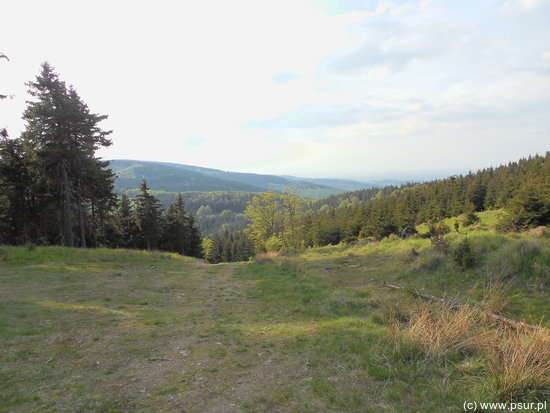 Górska polana, w oddali widok na góry