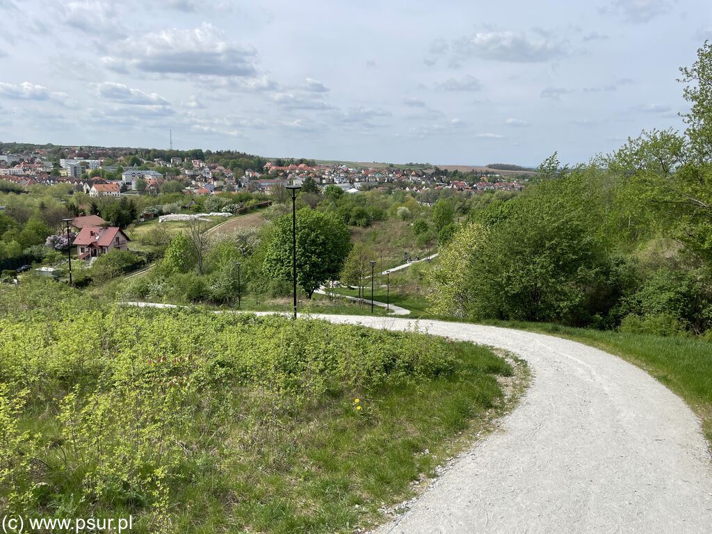 Droga na Kocią Górę