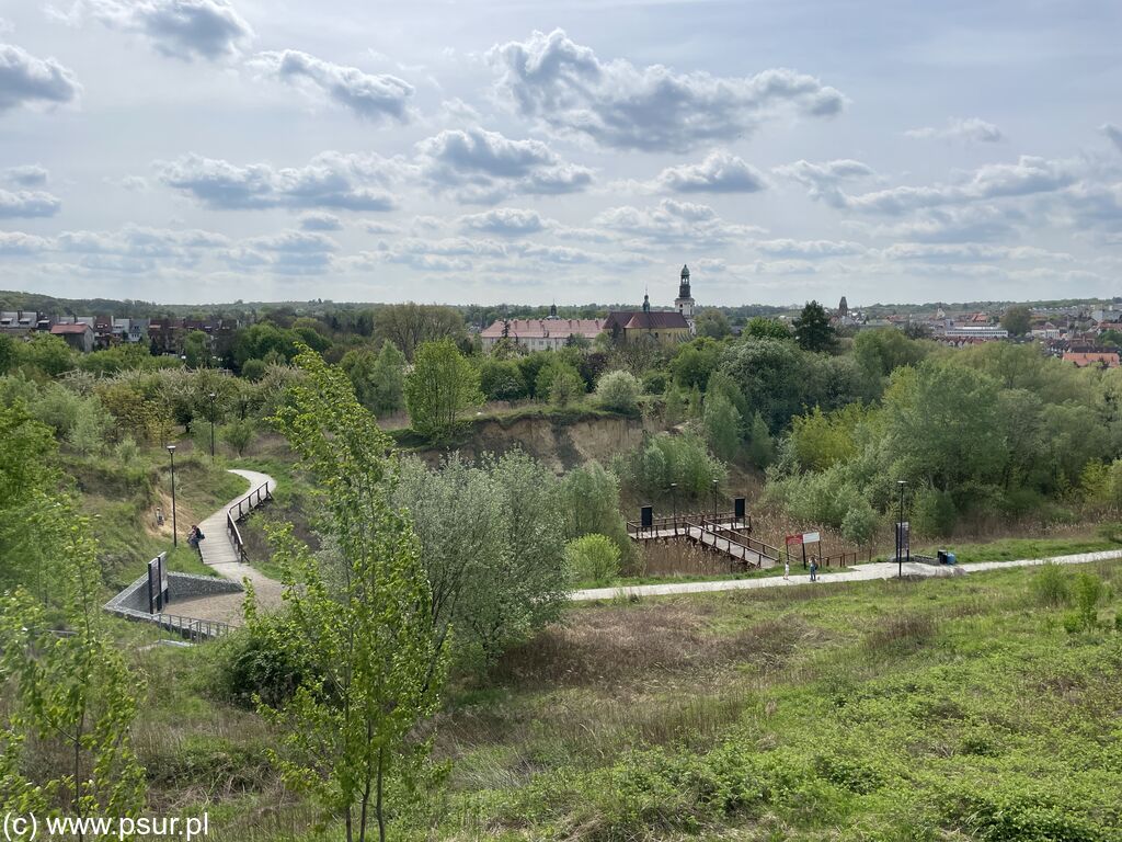 Widok z Kociej Góry w kierunku północno-wschodnim