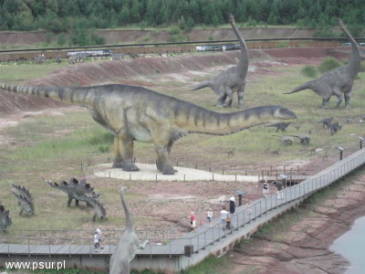 Największe z dinozaurów w Krasiejowie