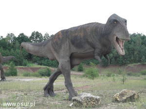 Tyranozaur w Krasiejowie