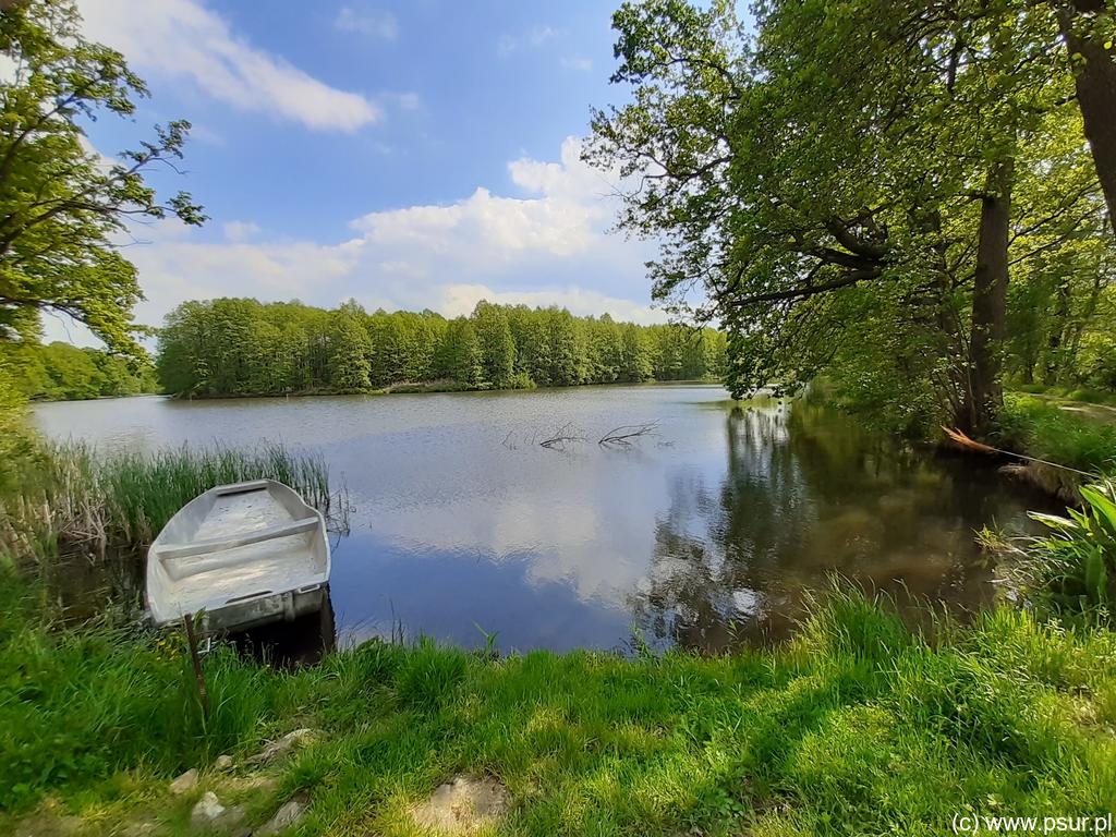 Staw, łódka nad brzegiem, wokół zieleń