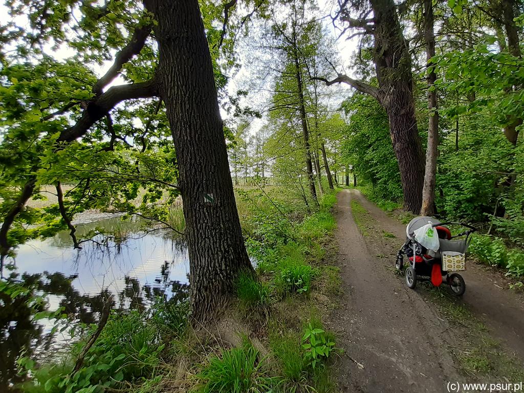 Wózek na drodze między stawami