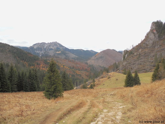 Przysłop Miętusi - widok na Tatry