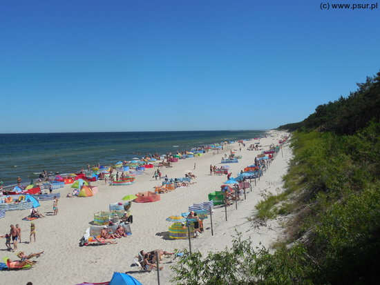 Plaża, słoneczny dzień, średni tłok