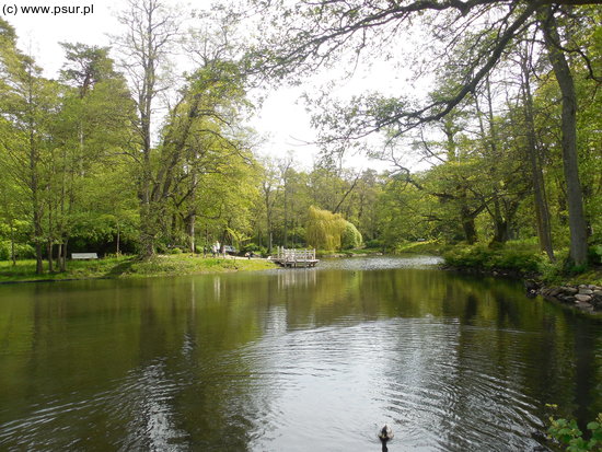 Park przy pałacu Tyszkiewiczów