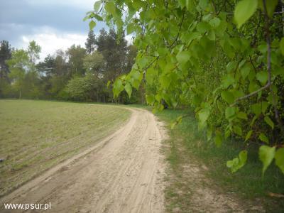 Polna droga na skraju Rezerwatu Szwajcaria Podlaska