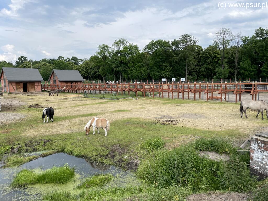 Mini ZOO w Rudzie Sułowskiej