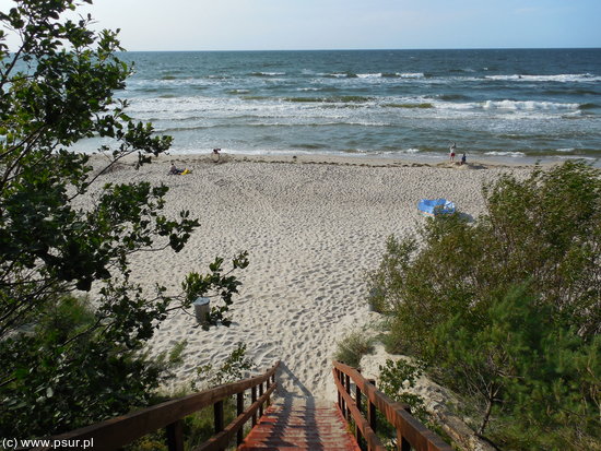 Widok z zejścia w dół na plażę