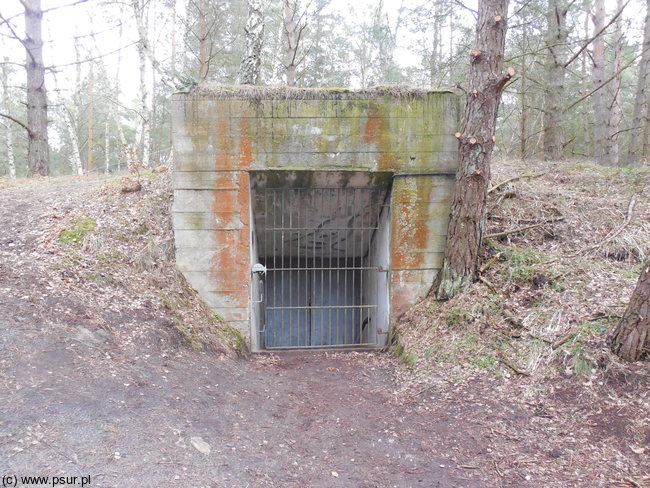 Zakratowane wejście do podziemnego bunkra