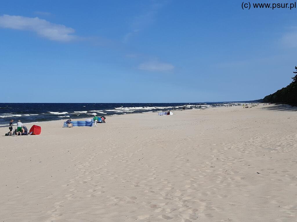 Plaża w słoneczny dzień