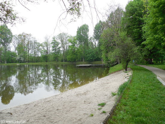 Plaża nad stawem