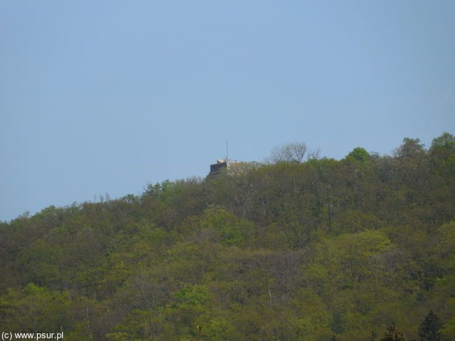 Zalesione wzgórze z wieżą widokową