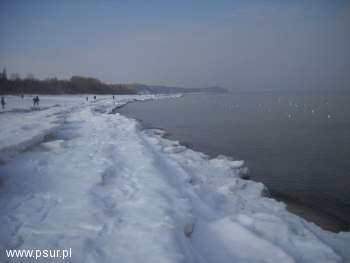 Plaża we Władysławowie