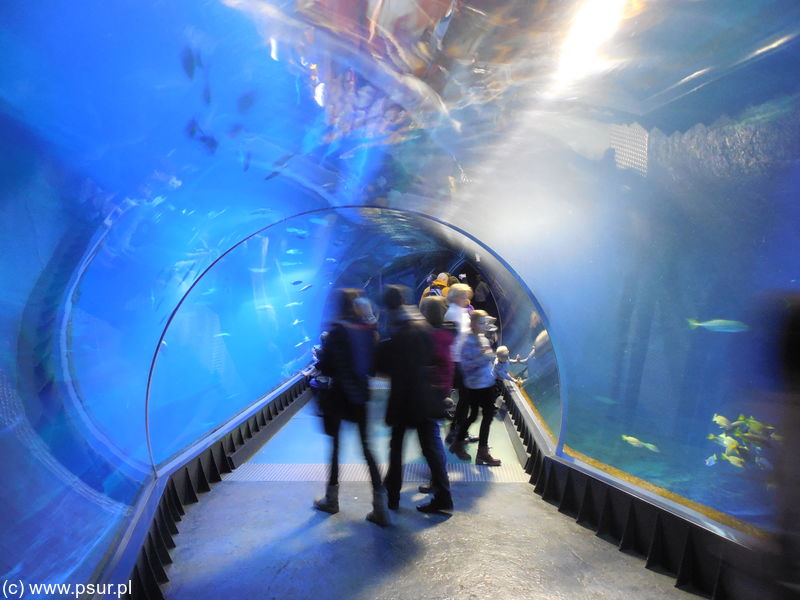 Tunel pod wodą