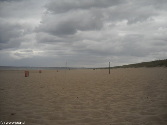 Widok na plażę na Wyspie Sobieszewskiej