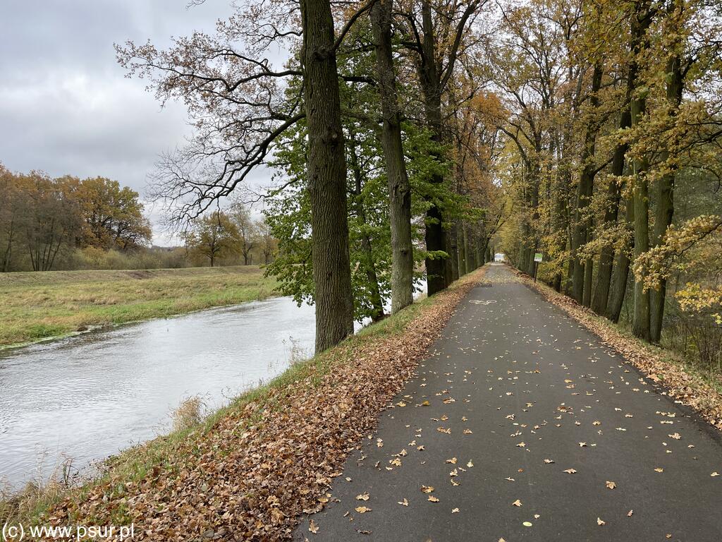 Ścieżka rowerowa nad rzeką