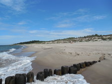 Falachron na plaży w Dąbkowicach